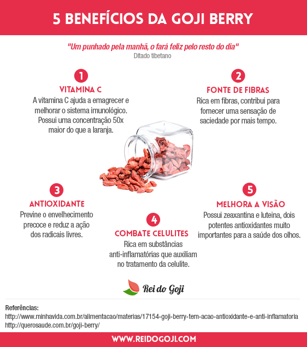 5-beneficios-goji-berry-infografico